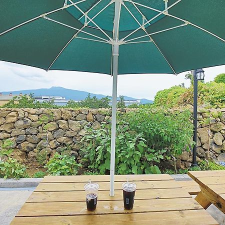 Seong Ge Dol Pension Seogwipo Extérieur photo